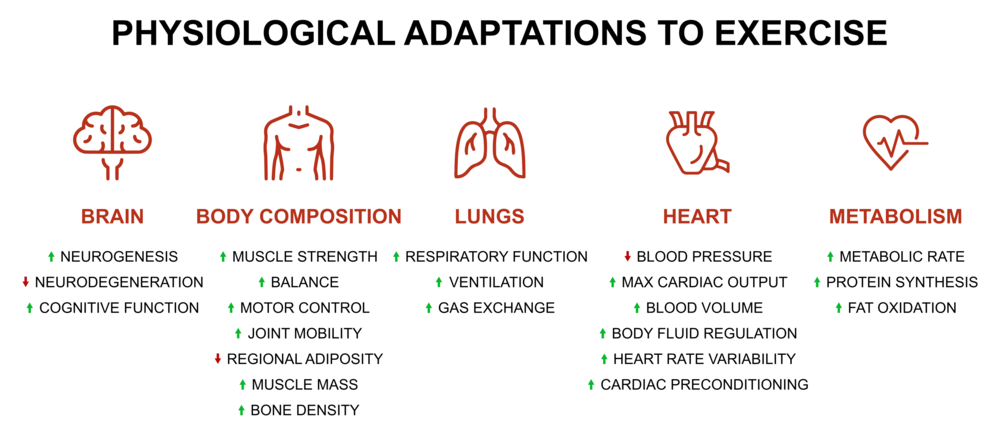 Physiological Changes